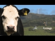 Wind Farm 5 1347